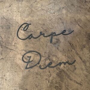 Carpe Diem Wood Cutout Wall art